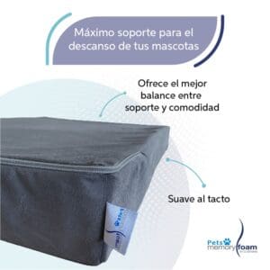 Mascotas_3