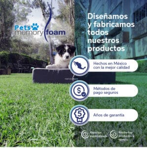 Mascotas_8