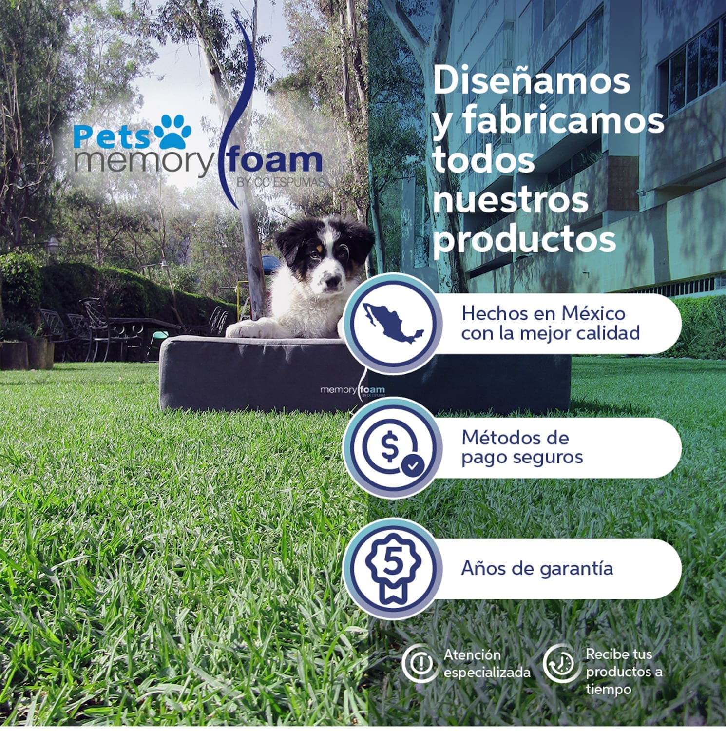 Mascotas_8