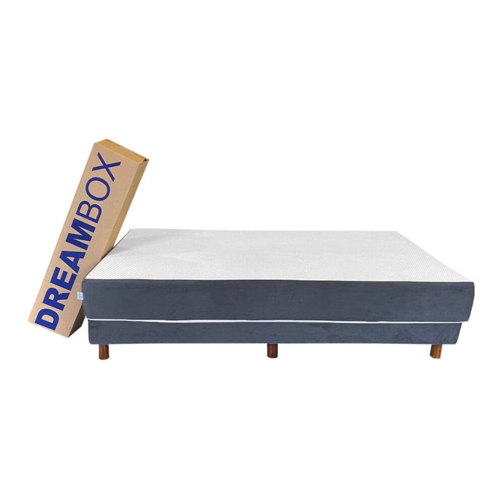 dreambox_1 dreambox_1
