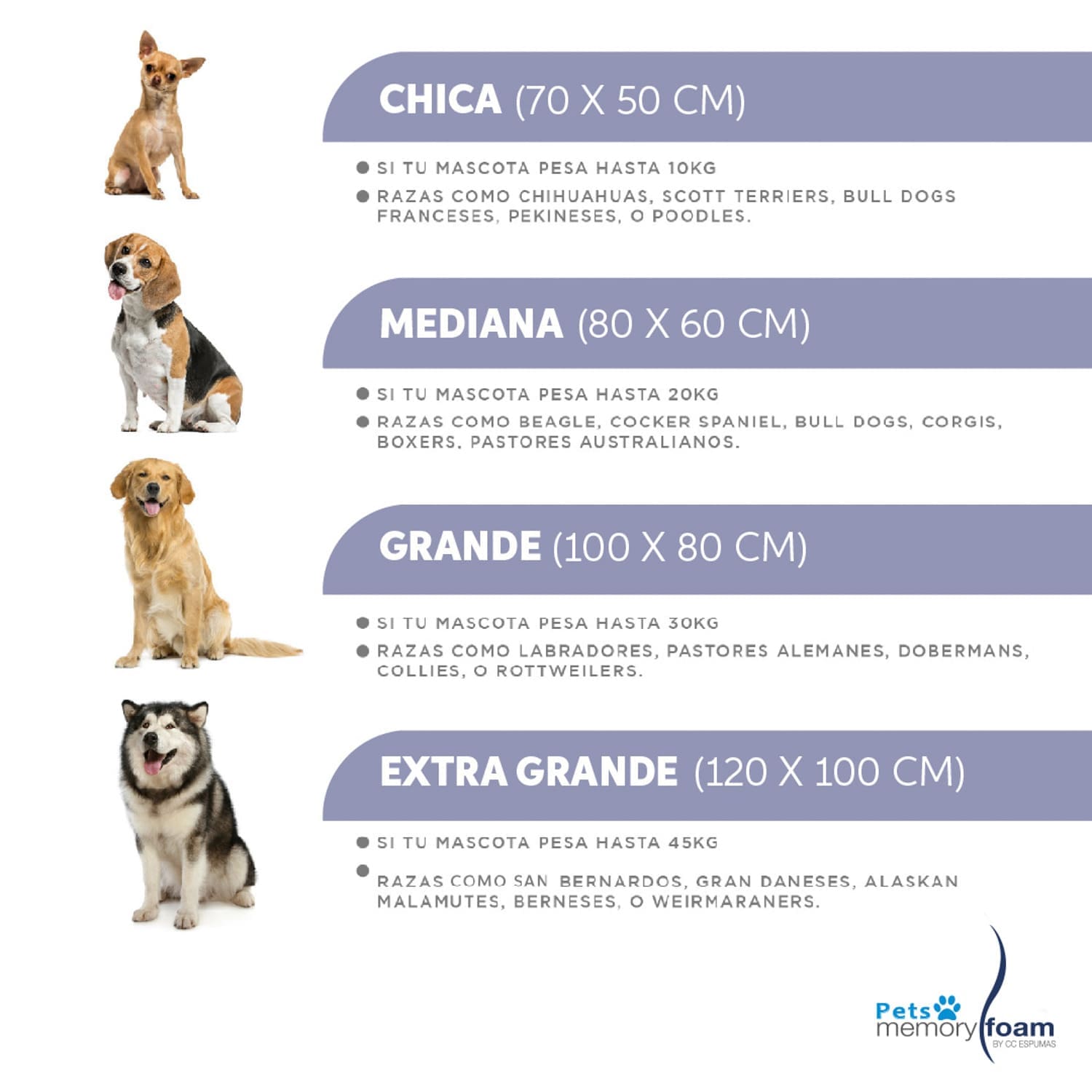 Mascotas_5