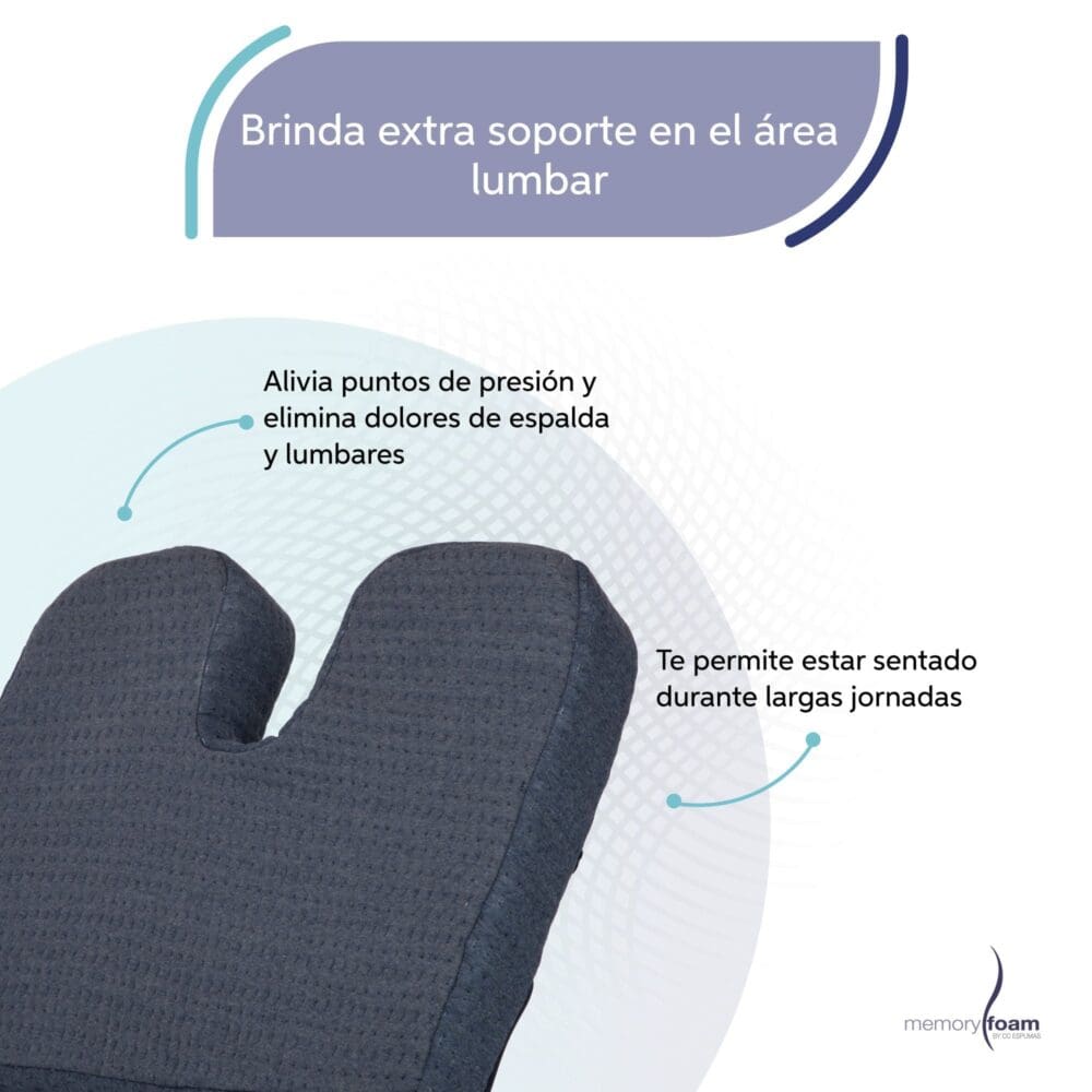 Asiento_lumbar_3 Asiento_lumbar_3