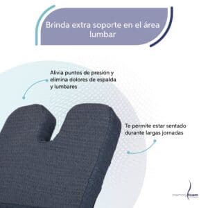 Asiento_lumbar_3 Asiento_lumbar_3