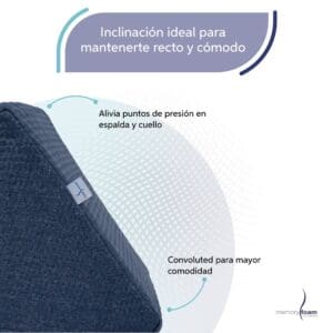 Cojín_Tv_3